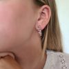 Roze Swarovski Oorbellen