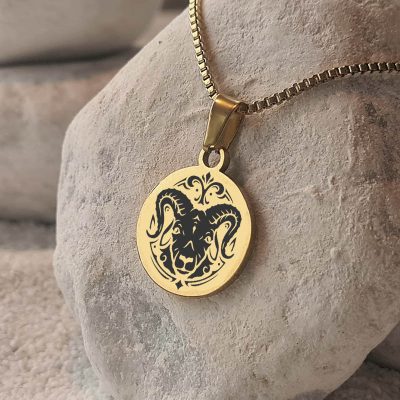 Ketting met sterrenbeeld Stoer